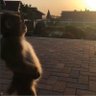 MEYE's profile picture
