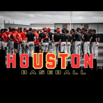 UST Baseball's profile picture