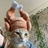 ángel 的头像