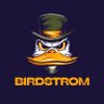 Birdstrom 的头像