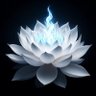 Profilbild von White Lotus