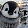 Фото профиля DerangedPenguin