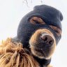 Profilbild von Faysh236622