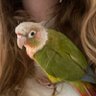 Maddy's profile picture