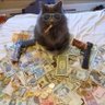 Фото профиля Moe