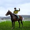 Green Tick 🐴's profile picture