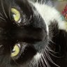 Fr 的头像