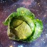 Space Cabbage's profile picture