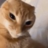 Profilbild von LeW