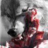 The Wolf's profile picture