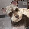 Belly&Coco 的头像