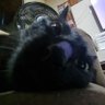 Profilbild von bi
