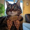 AdrianaK's profile picture