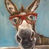 Donkey Hoe Tay profil fotoğrafı