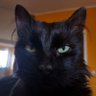 PullMaFinger's profile picture