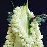 الطير المهاجر's profile picture