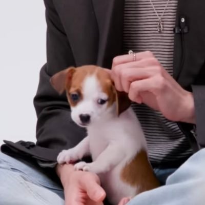 nomoong ♡'s profile picture