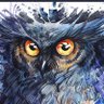 Фото профиля Creative Owl