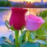Фото профиля أم أحمد
