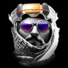 VXN 🐺's profile picture