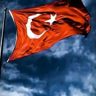 fikretsarolu8's profile picture