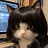 Profilbild von Mr.喵