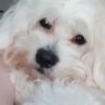 bunnyflop's profile picture