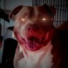 S. Cracker White esq. 的头像