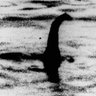 Nessie's profile picture