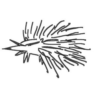 pe_po_po's profile picture