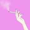 TabakoKirei's profile picture