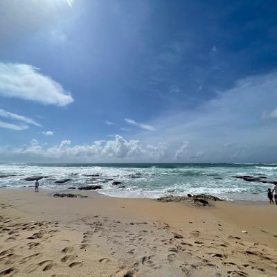 Fish741's profile picture