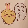 mayuci's profile picture
