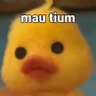 Acil's profile picture