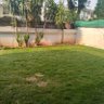 Yasir Mehmood 的头像