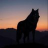 ContrarianWolf 的头像