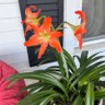 Фото профиля Southerngal