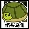 流年 的头像