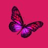 ❤️𝗗𝗬𝗟𝗟𝗔💜 profil fotoğrafı