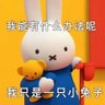 Profilbild von k ck(点赞后记得点关注 互关互fo)