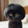 Marie profil fotoğrafı