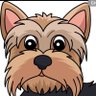 Profilbild von Bruce