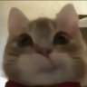 Profilbild von พัยจิม
