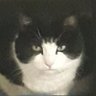 Profilbild von loganscott