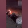 1stockf30 Crash Video's profile picture