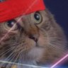 Profilbild von Dr. Schadenfreude 🖍