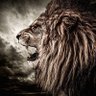 PW's profile picture