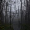 Фото профиля FaFikcja