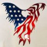 America First's profile picture