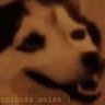 goofydoggo:)'s profile picture